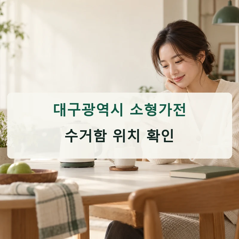 대구광역시 소형가전 배출 안내 AI 제작 설명 이미지